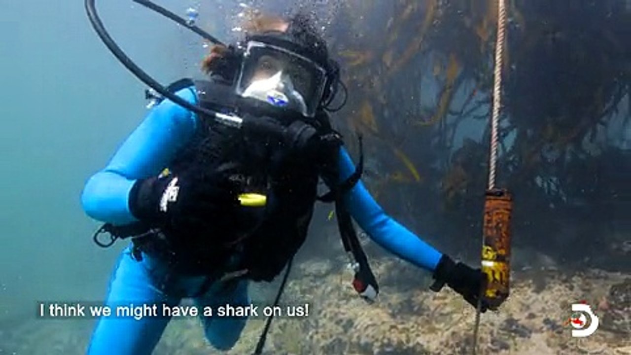 Shark Women Ghosted by Great Whites 2