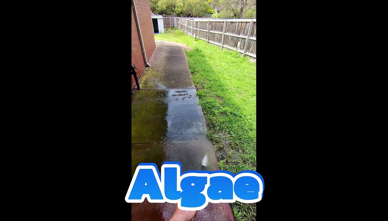 Pressure Washing Isleworth: Watch This Dirt Disappear in Minutes