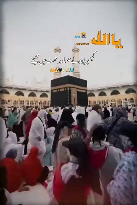 Ameen summa Ameen ya ya rabbul Alamin