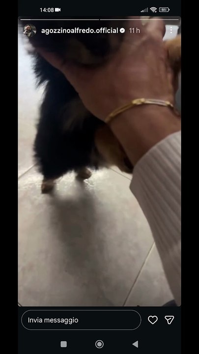 Agozzino Alfredo story con il piccolo zaky