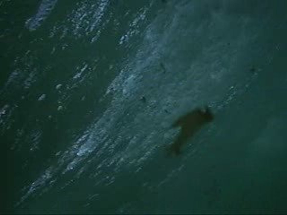 session surf quiberon david, jeremy