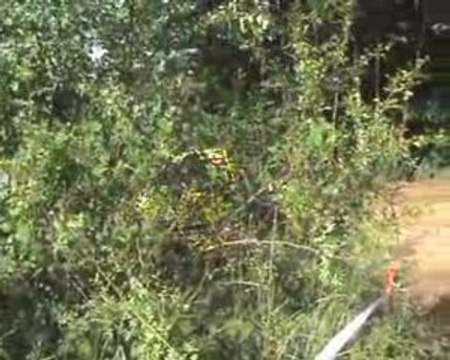 Rallye Terre de Langres 2009