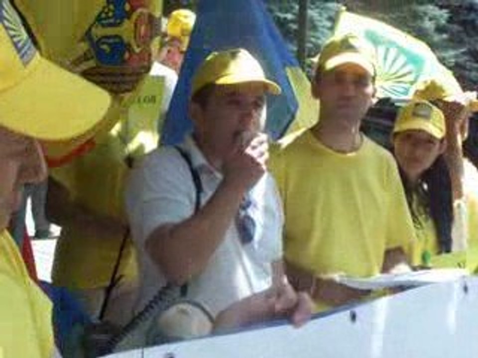 Flash-mob amn