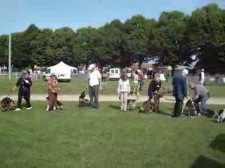 CUISERY N E 2009 (9)