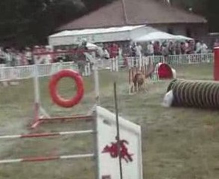 cibeins 09 kyran jump