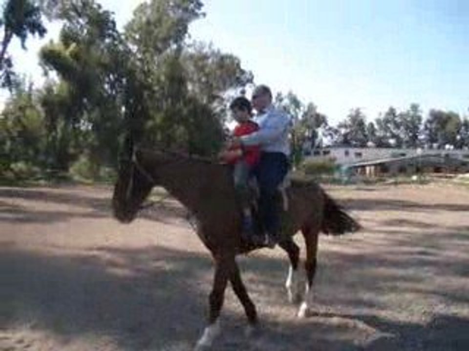 Halit Ziya Kartal - Atlı Kartal