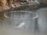 Ice Circle - Rare cold weather phenomenon