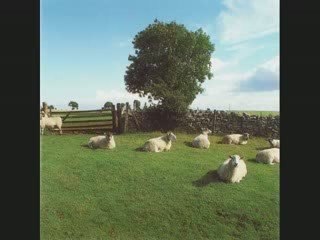 The KLF - Chill Out 2