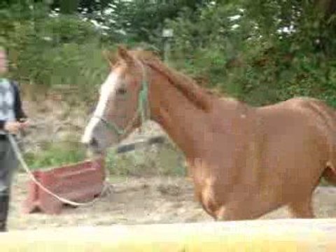 Sabine de Baybel, 1ère longe
