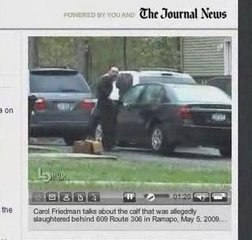 Cow slaughtered in yard of Ramapo yeshiva