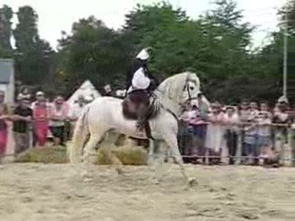 méru et couurs poney