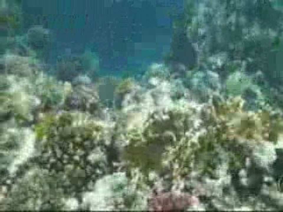 Club marmara Hurghada juin 2009 (Egypte) Egypt