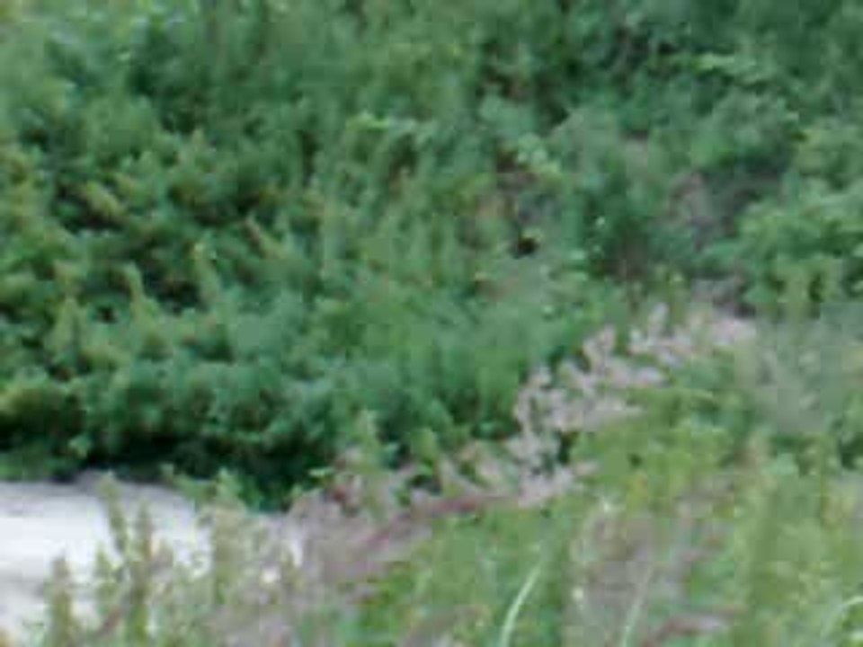 Icham ilyes cross