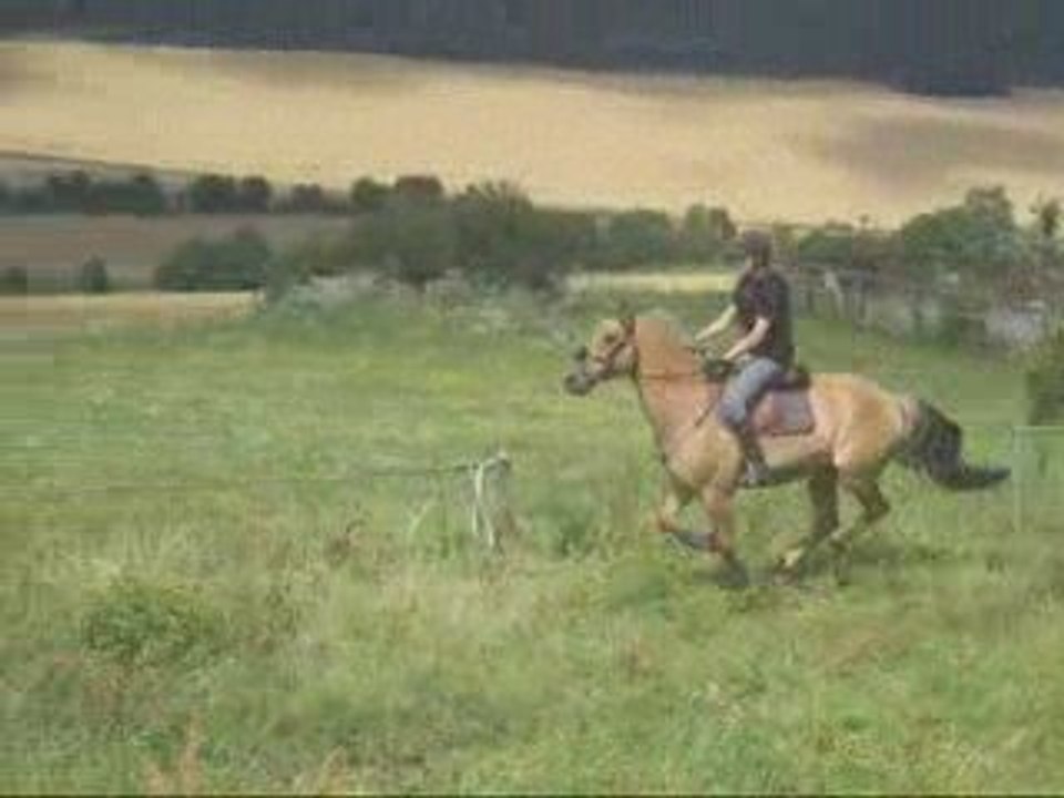 Cross Arskélad & moi - 9 juillet 2009.