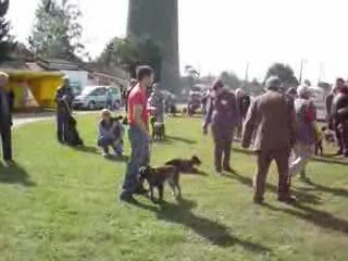 CUISERY N E 2009 (8)