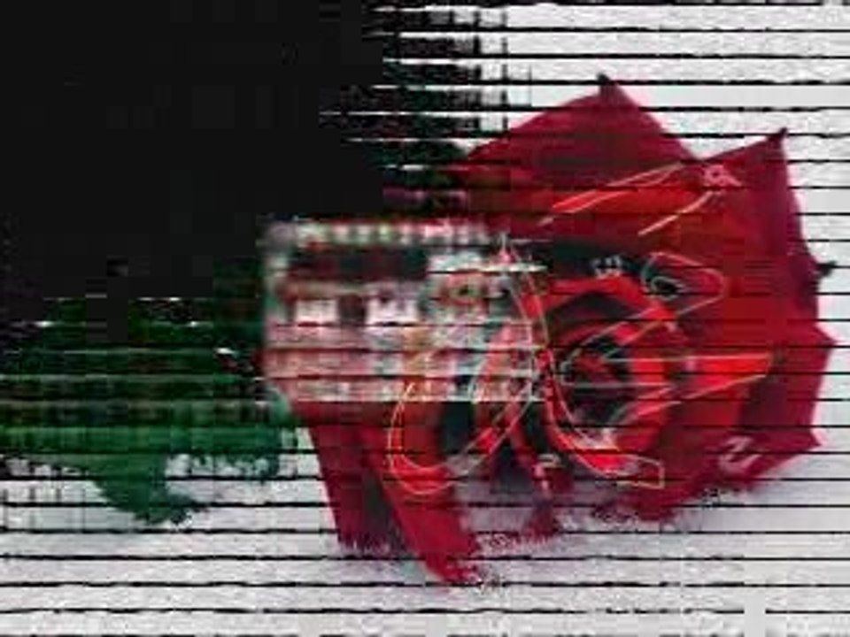 ALLAH1
