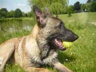 Mirka et dodge mai 2009