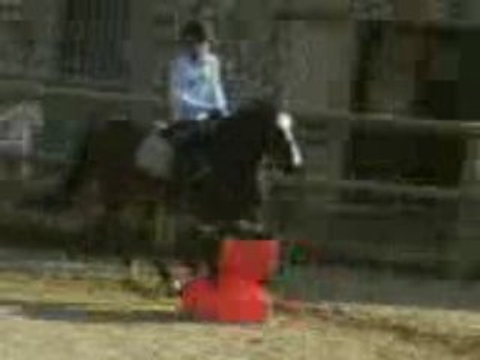 Moi et Kidam / Détente au galop