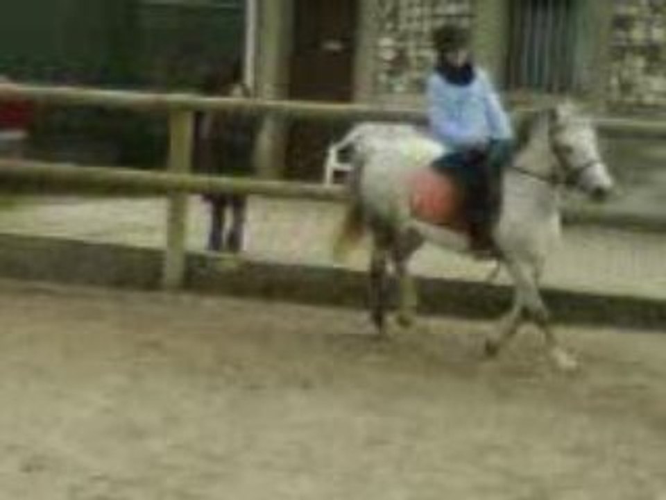 Moi et Lili / Détente au galop