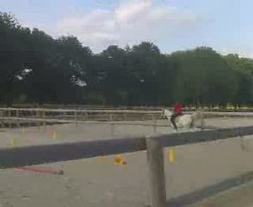 Moi et Nunchaku / Détente au Galop à Gauche