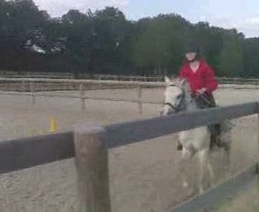 Moi et Nunchaku / Détente au Galop à droite