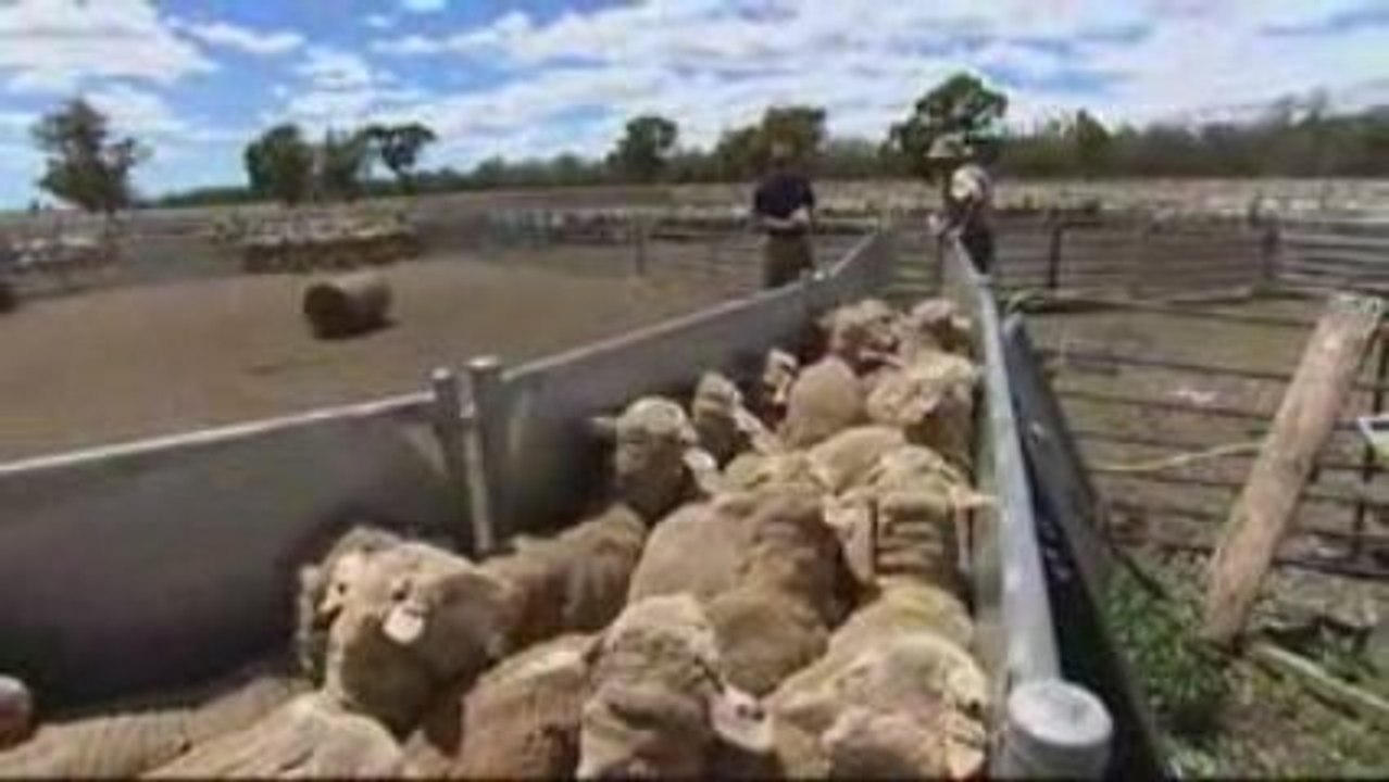 Australie   combattre la sécheresse 5/7 - ARTE -