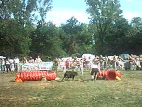 Tayson jumping Finale GPF Cibeins 4-5 juillet 2009
