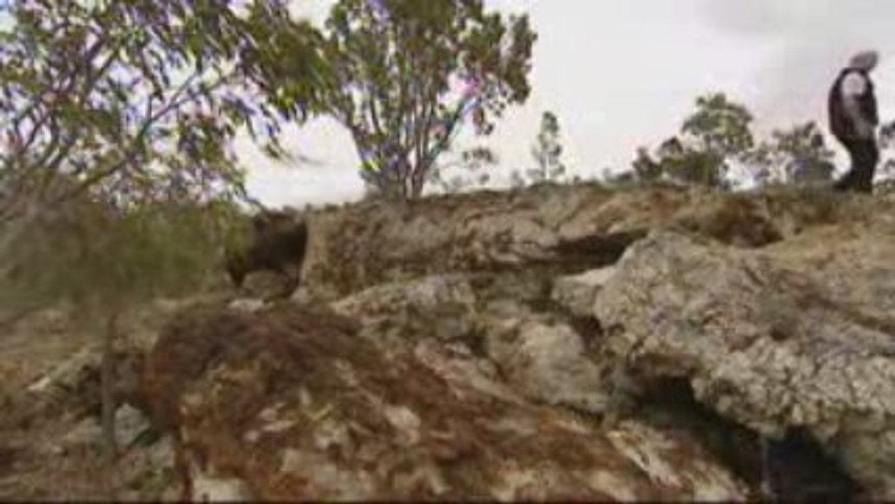 Australie   combattre la sécheresse 4/7 - ARTE -