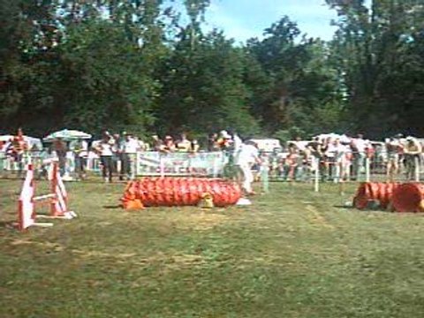 Alvaro jumpingFinale GPF Cibeins 4-5 juillet 2009