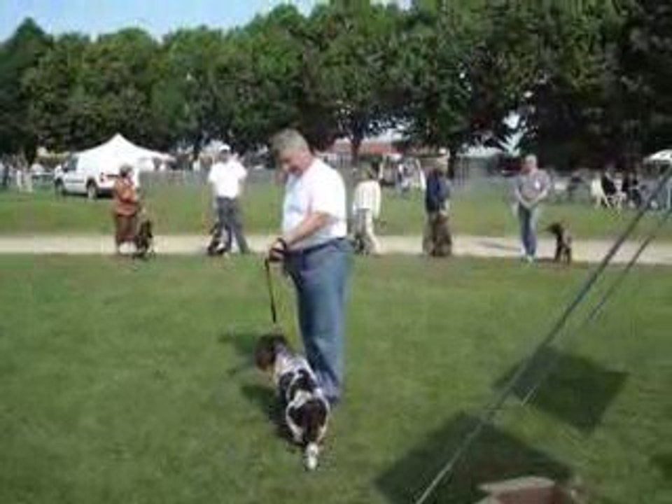 CUISERY N E 2009 (13)