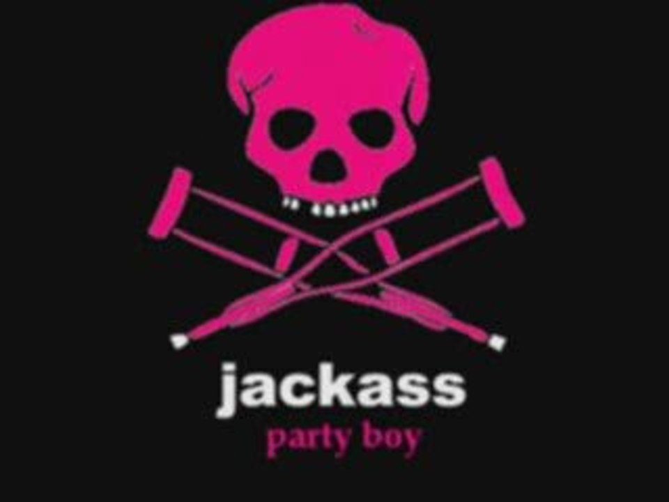 Party Boy song