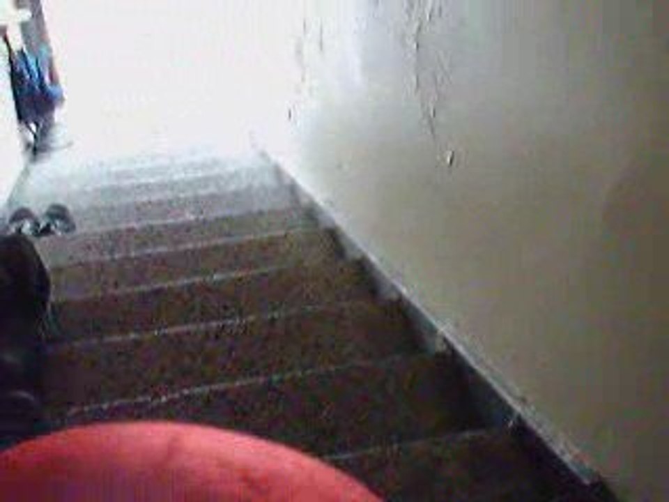 Toto lool