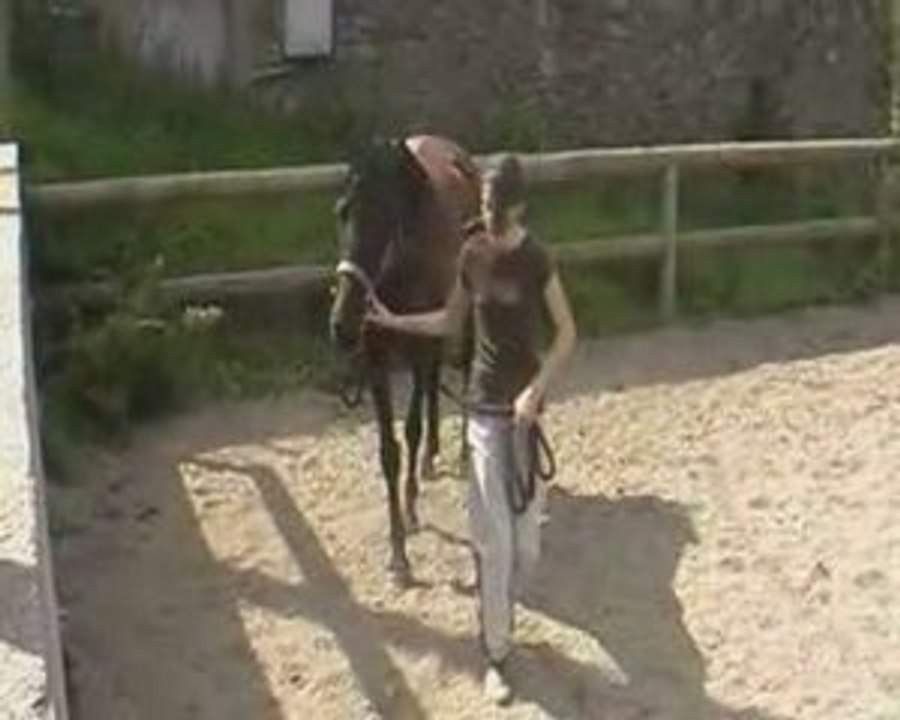 dbtjuillet09comp