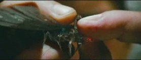 Clip