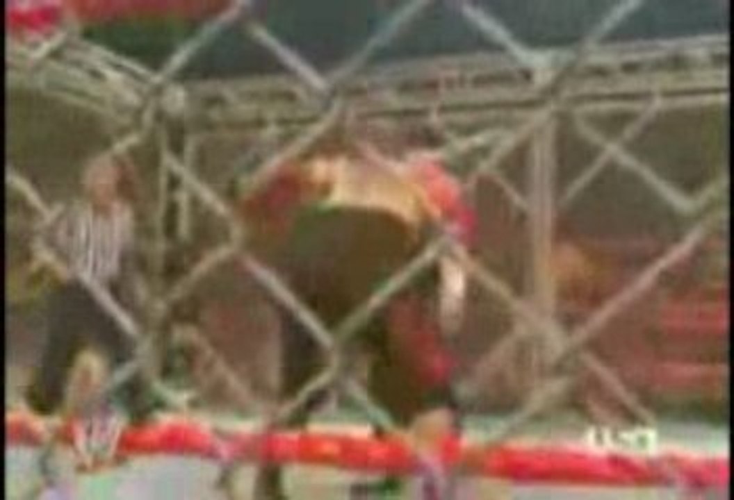 WFA Survivor Series