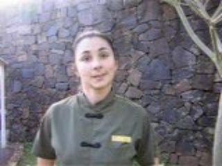 Testimonio de Alejandra M.