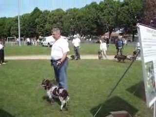 CUISERY N E 2009 (12)