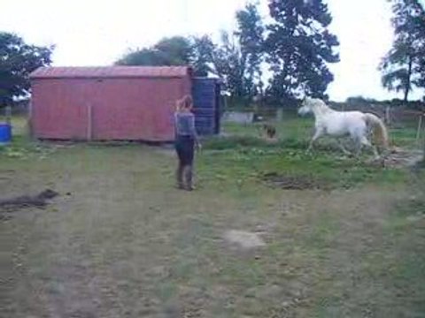 Mario ça s'en va et ça revient(11/07/09)