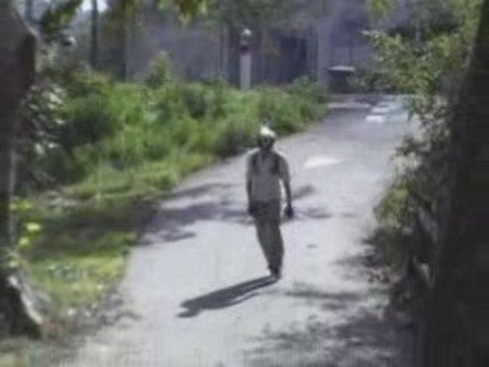 Ballade sur Toulouse