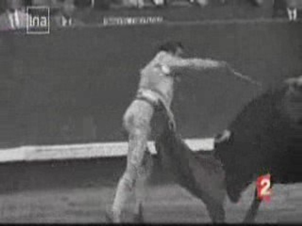 Ole, la corrida