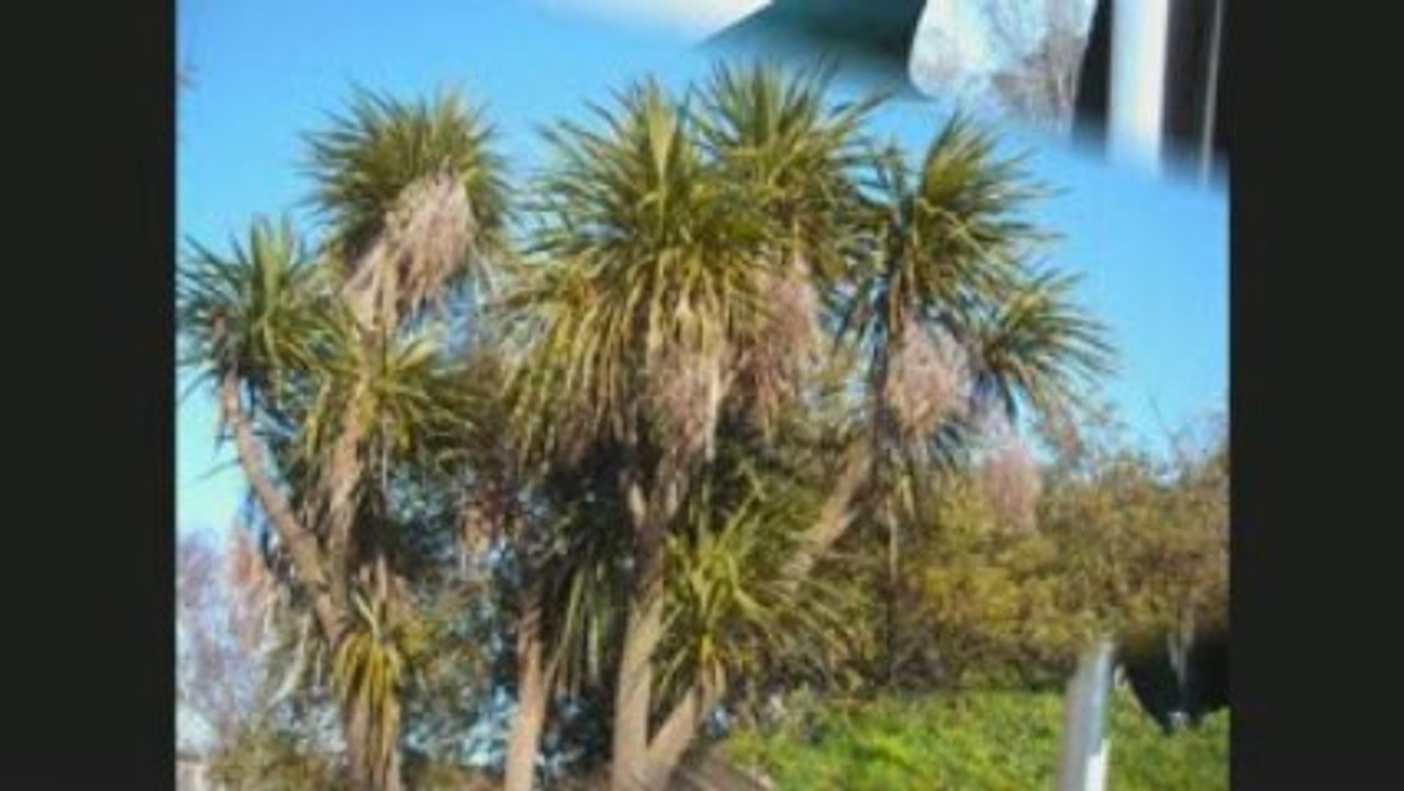 Baptiste en Nouvelle-Zélande - part 1