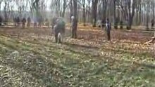 Габар-кадыр собака поединок