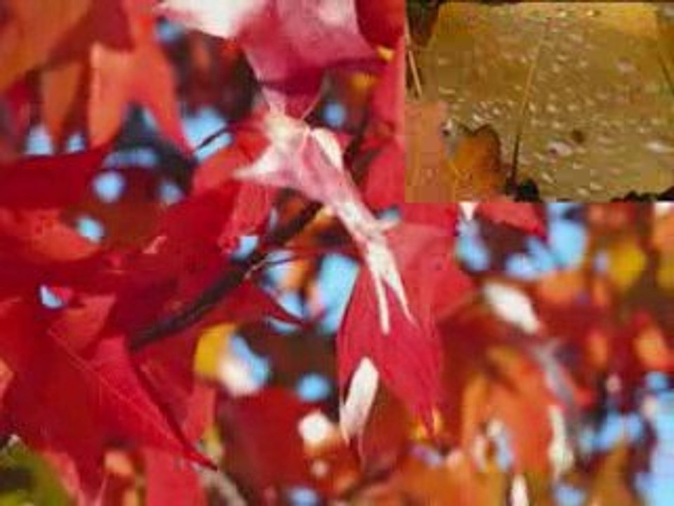 El breve espacio en que no estás