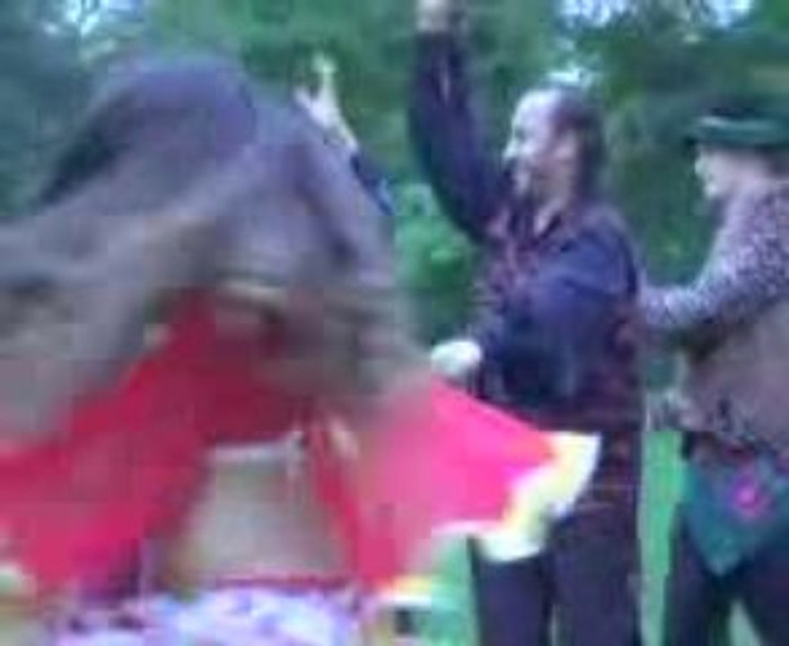 Kayoné ! film de Valentine Cohen et Miro Slava. Musique : Terne Roma.