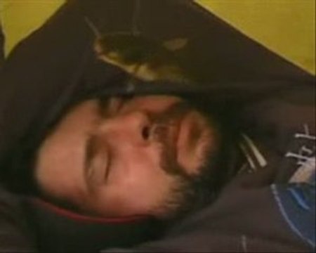 délire de pêche le baiser du poisson chat