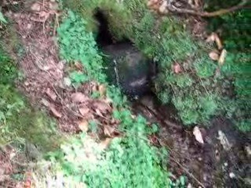 Source St Fergeon Bourg Lastic