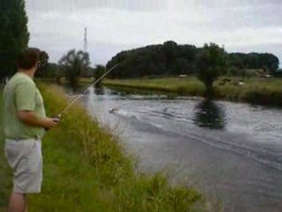 Video_DuckIII_1