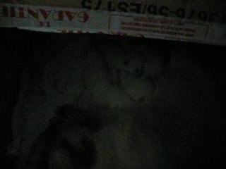 Chatons rouainette 12 juillet 2009