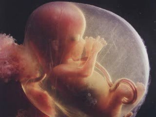 Un autre monde Daniel Balavoine