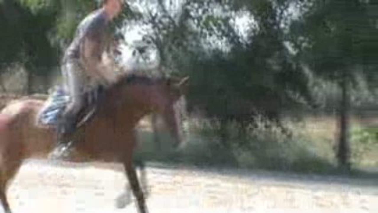 quisis d'hermet gael licol